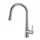 Axus Pin sink mixer with pull-out spray