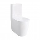 SynergiiOne back-to-wall toilet suite