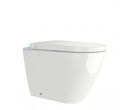 Neion wall faced intelligent toilet with remote and Arcisan concealed cistern