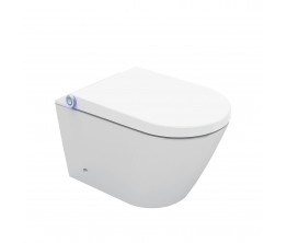 Neion wall hung intelligent toilet