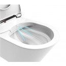 Neion Plus Deodoriser