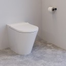 Neion Plus Intelligent Toilet