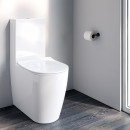 SynergiiOne back-to-wall toilet suite_Hero