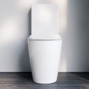 SynergiiOne back-to-wall toilet suite_Hero2